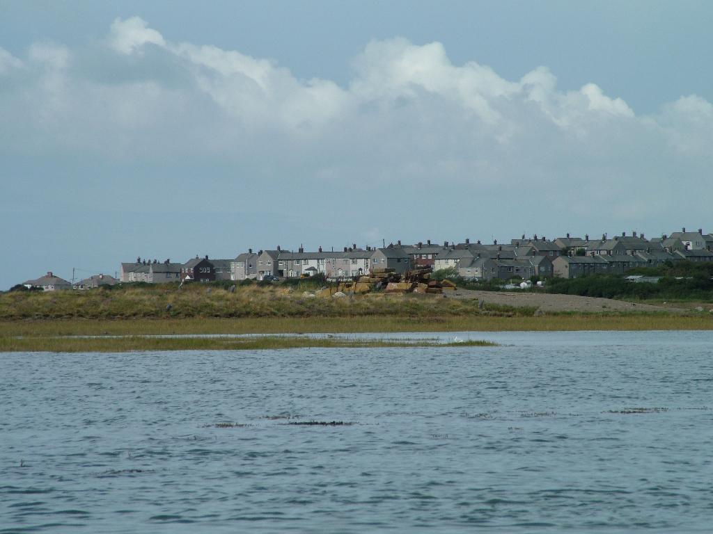 Click now to see this image full size.