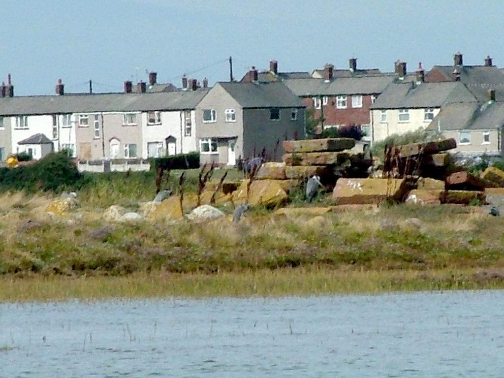 Click now to see this image full size.