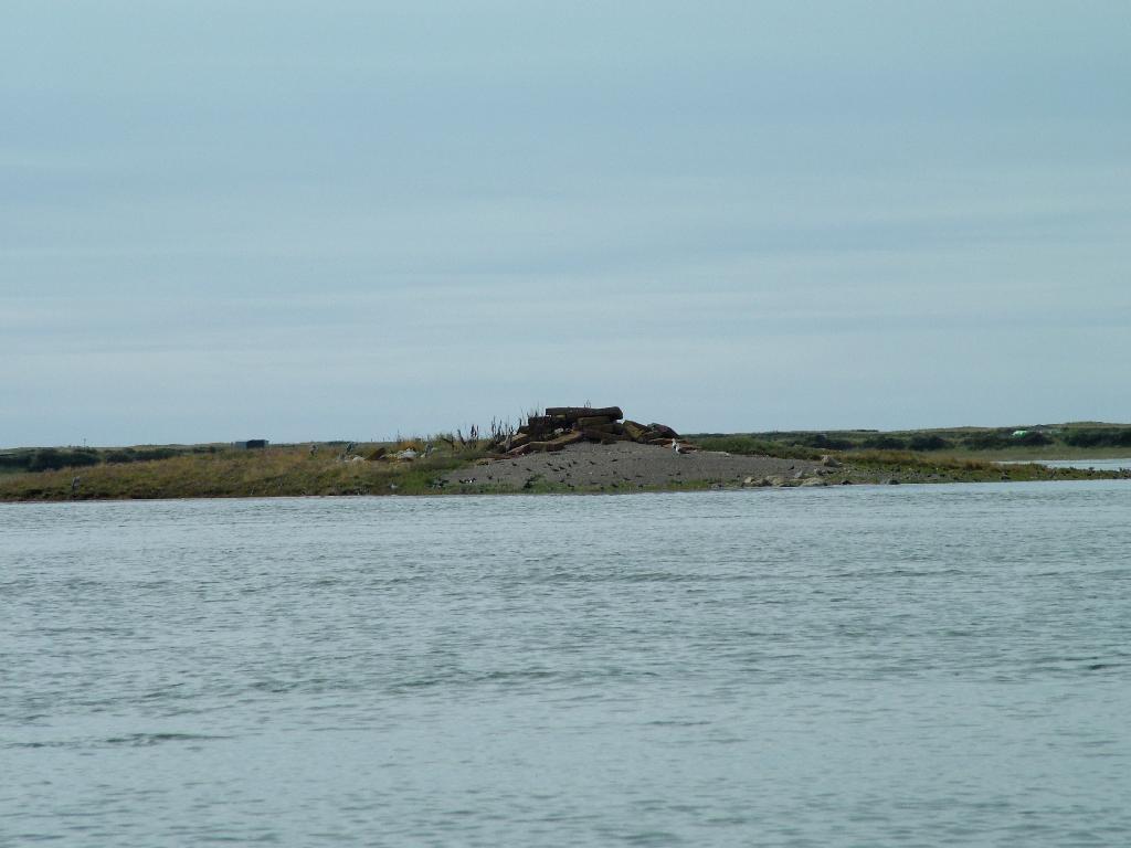 Click now to see this image full size.