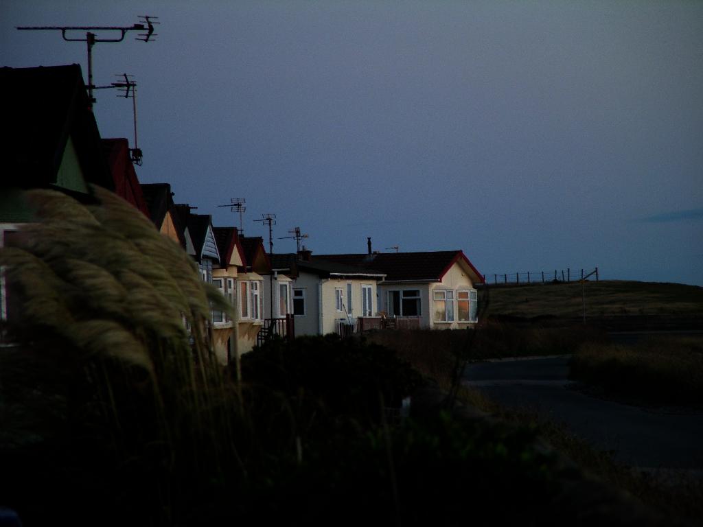 Click now to see this image full size.