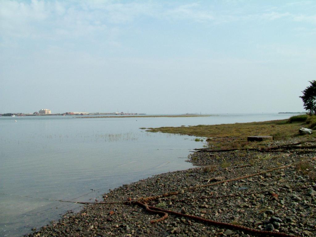 Click now to see this image full size.