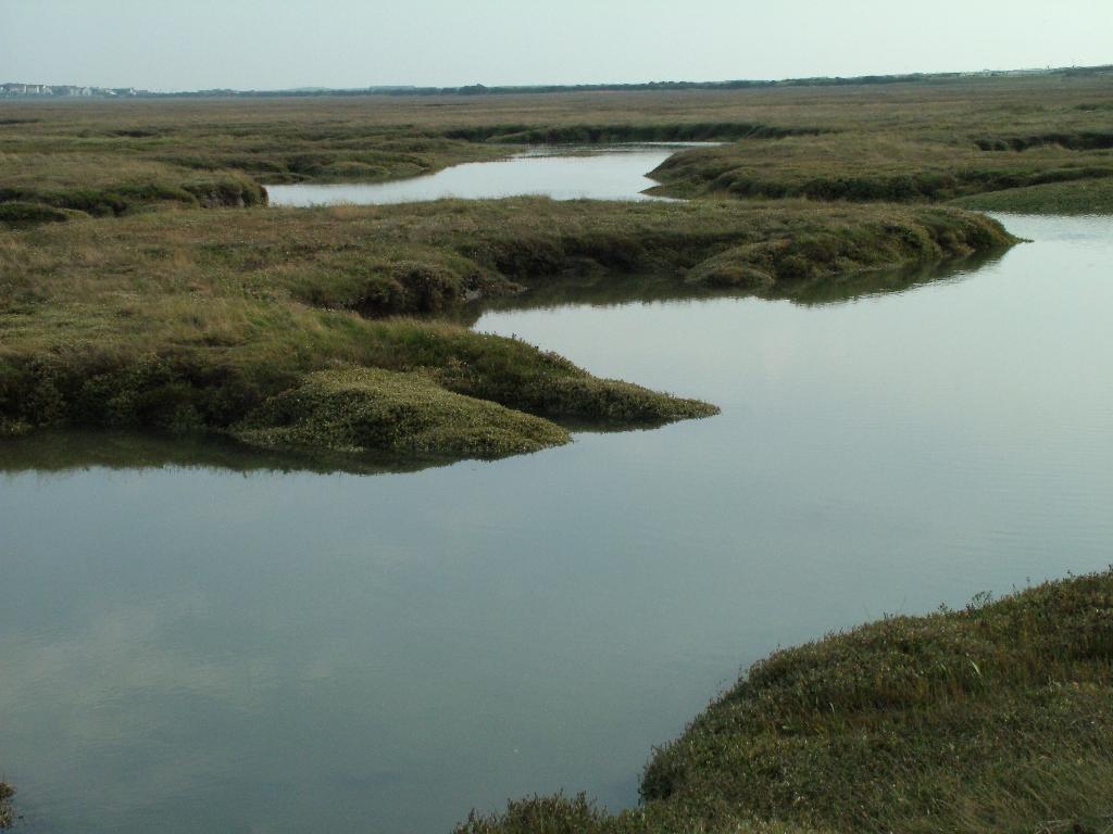 Click now to see this image full size.