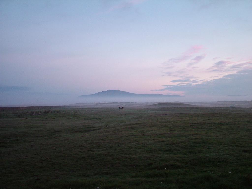 Click now to see this image full size.