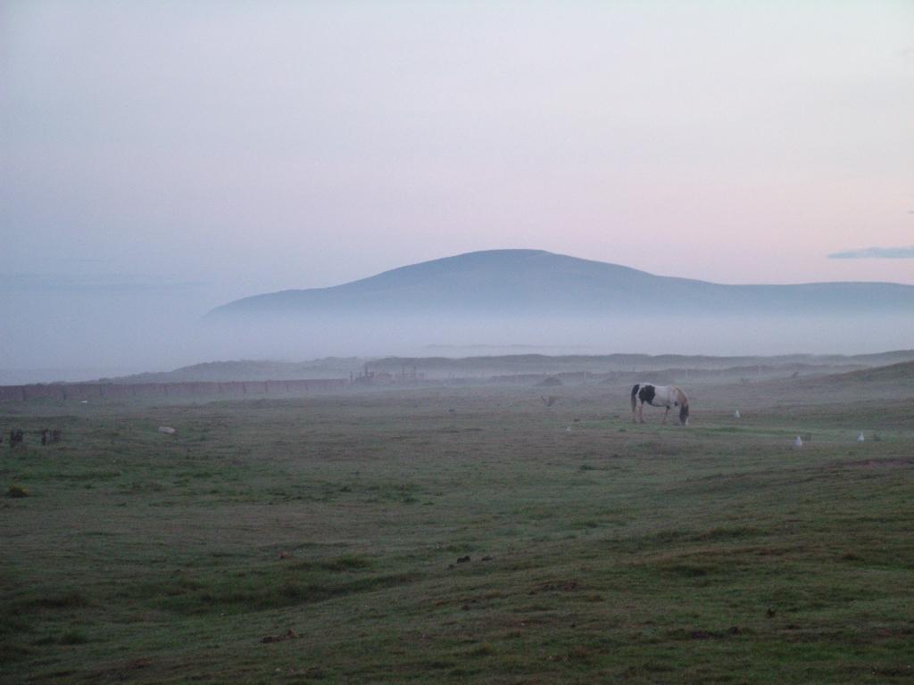 Click now to see this image full size.