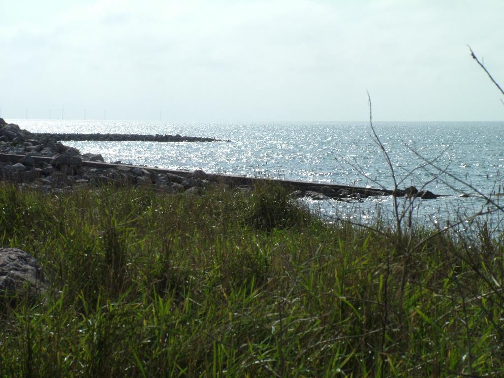 Click now to see this image full size.