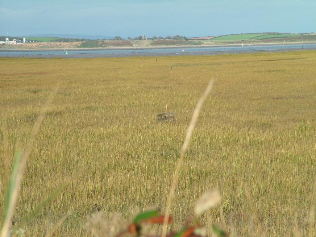 Click now to see this image full size.