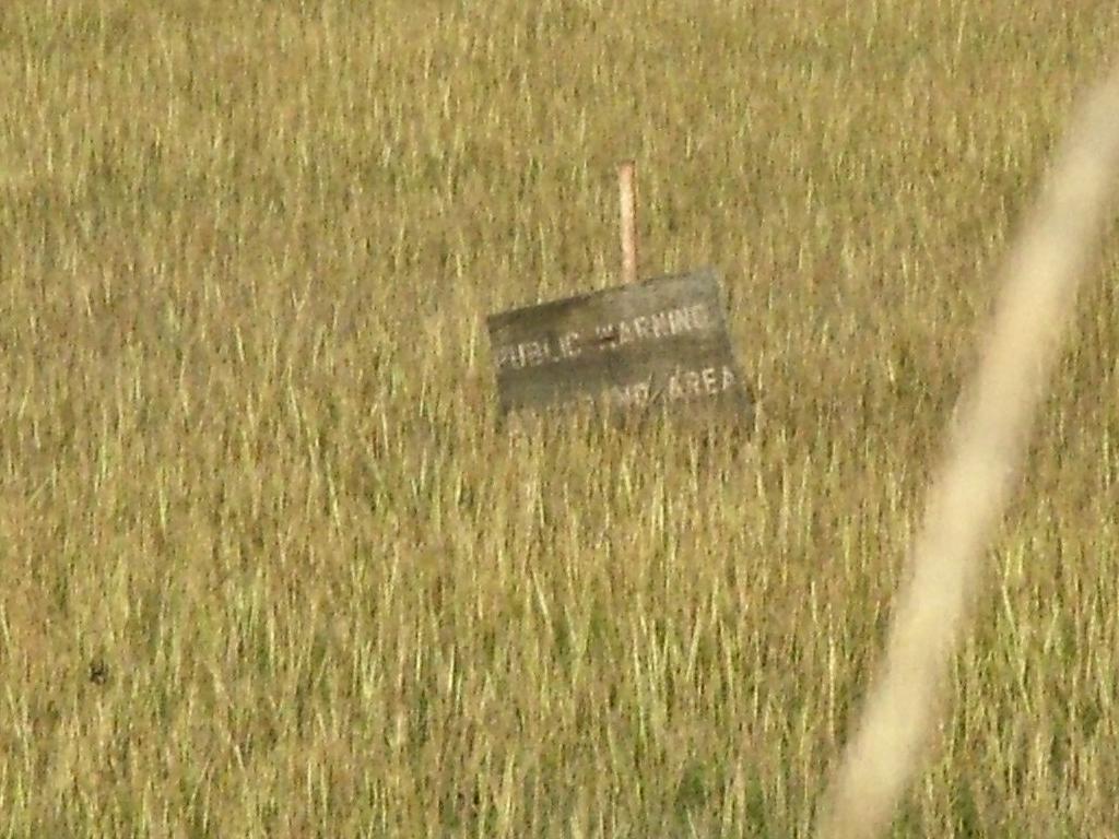 Click now to see this image full size.