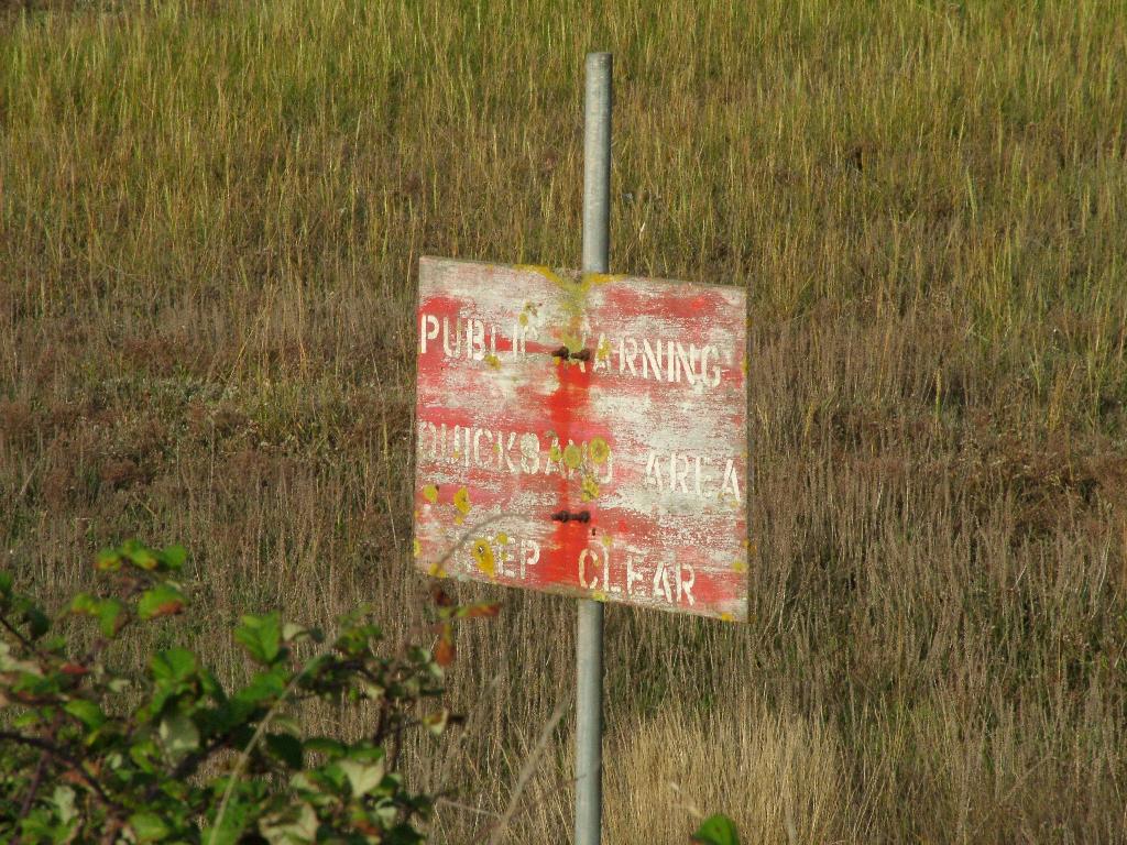 Click now to see this image full size.