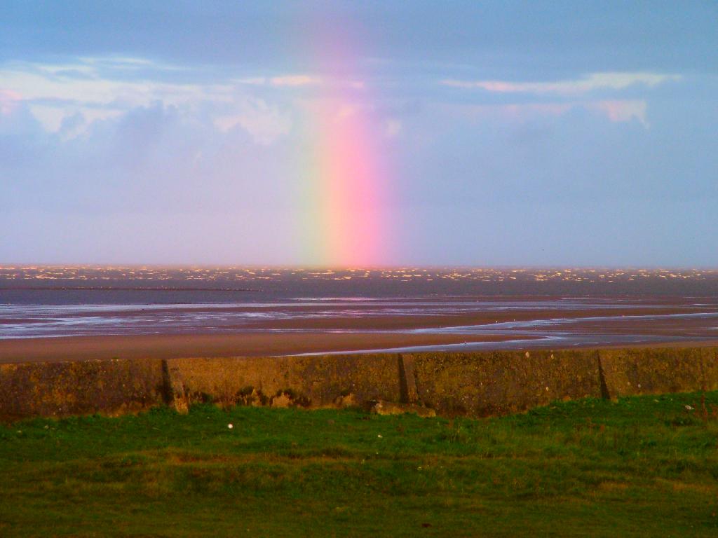 Click now to see this image full size.