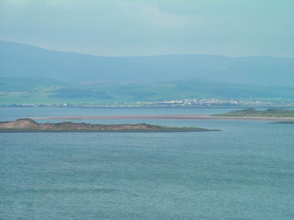 Click now to see this image full size.