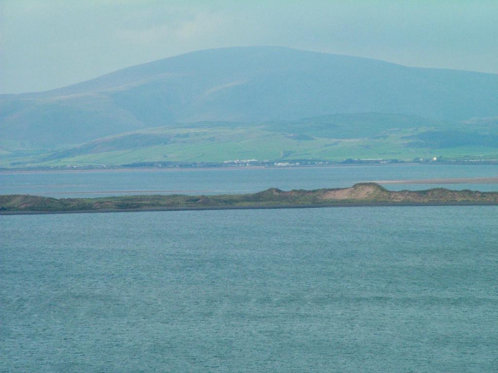 Click now to see this image full size.