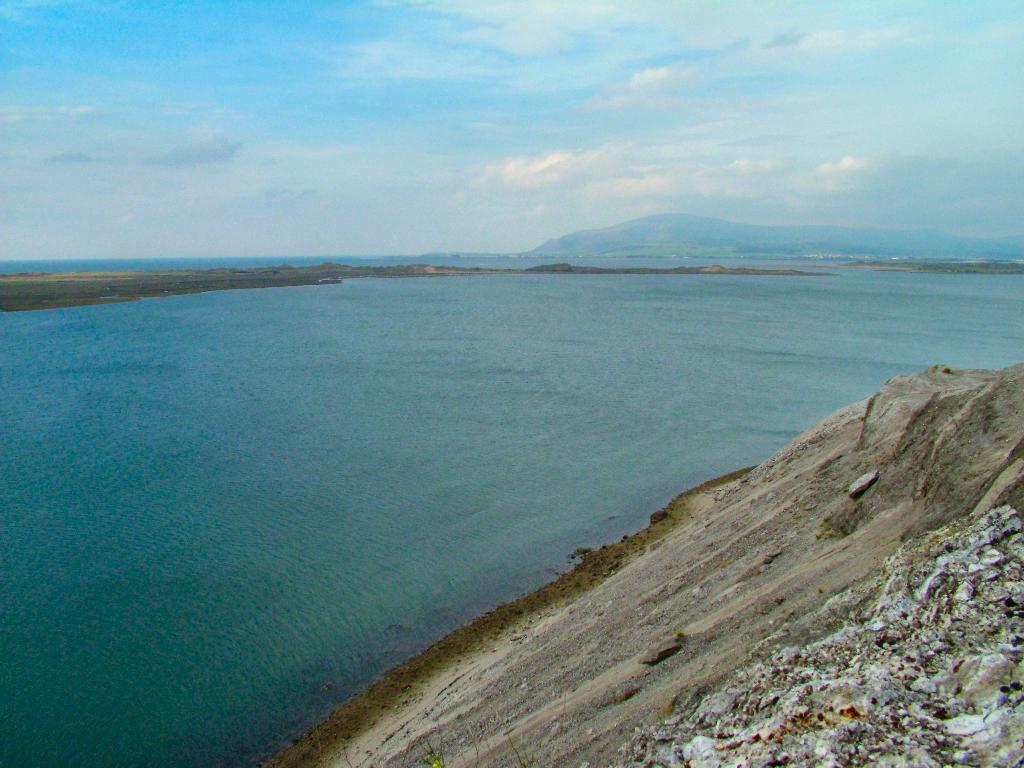 Click now to see this image full size.