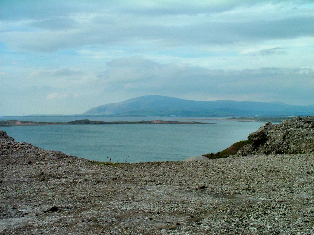 Click now to see this image full size.