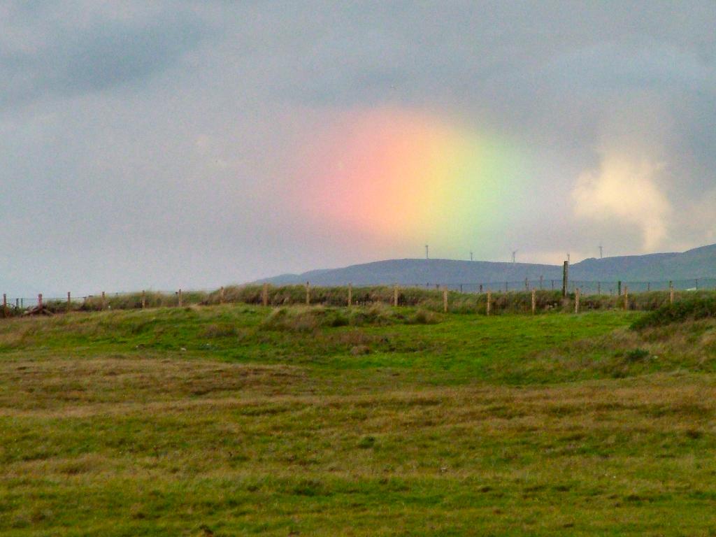 Click now to see this image full size.