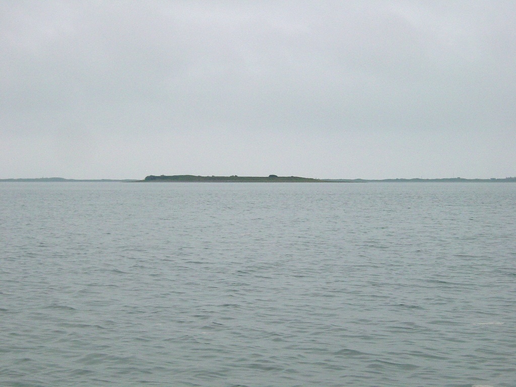 Click now to see this image full size.