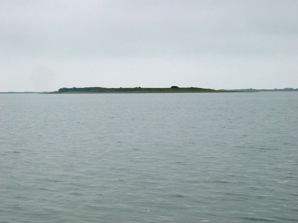 Click now to see this image full size.