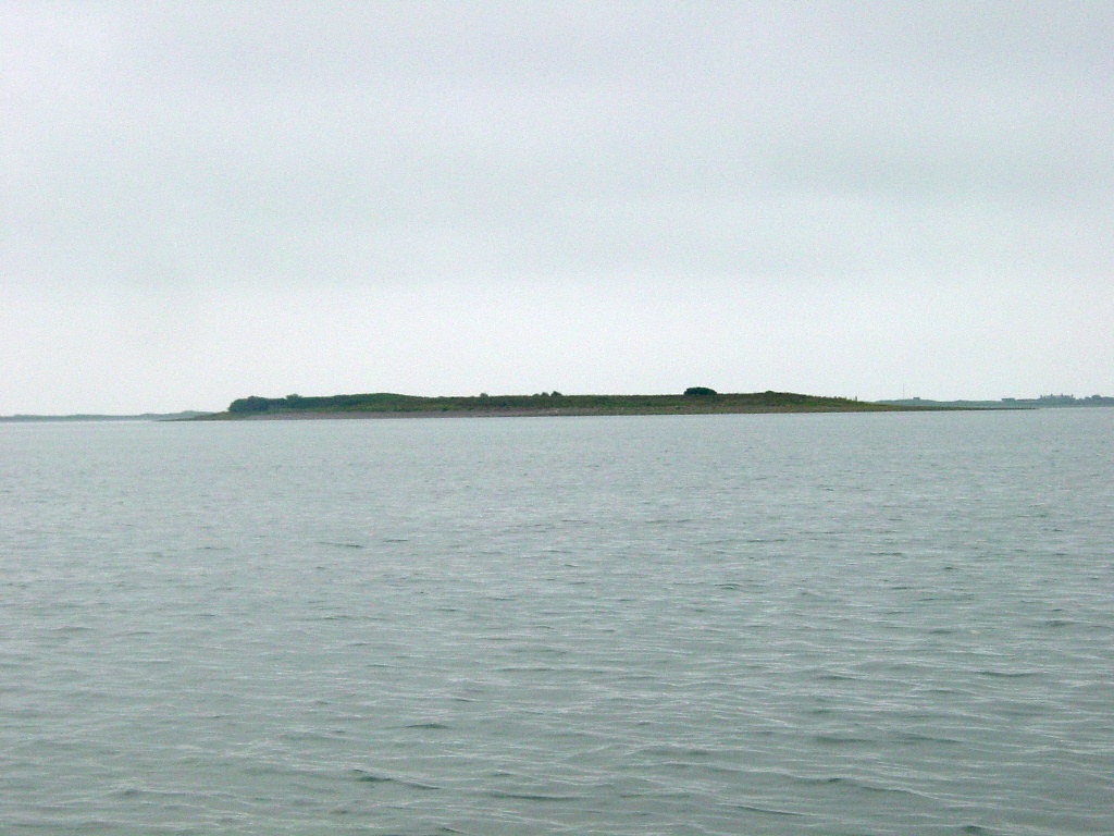 Click now to see this image full size.