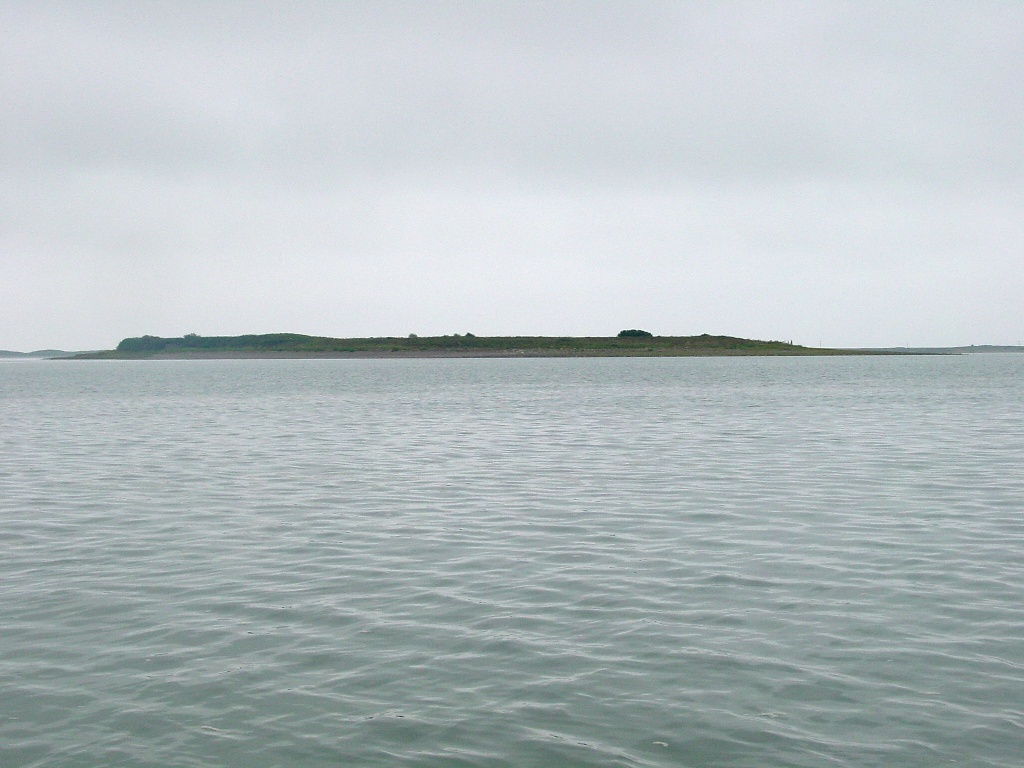 Click now to see this image full size.