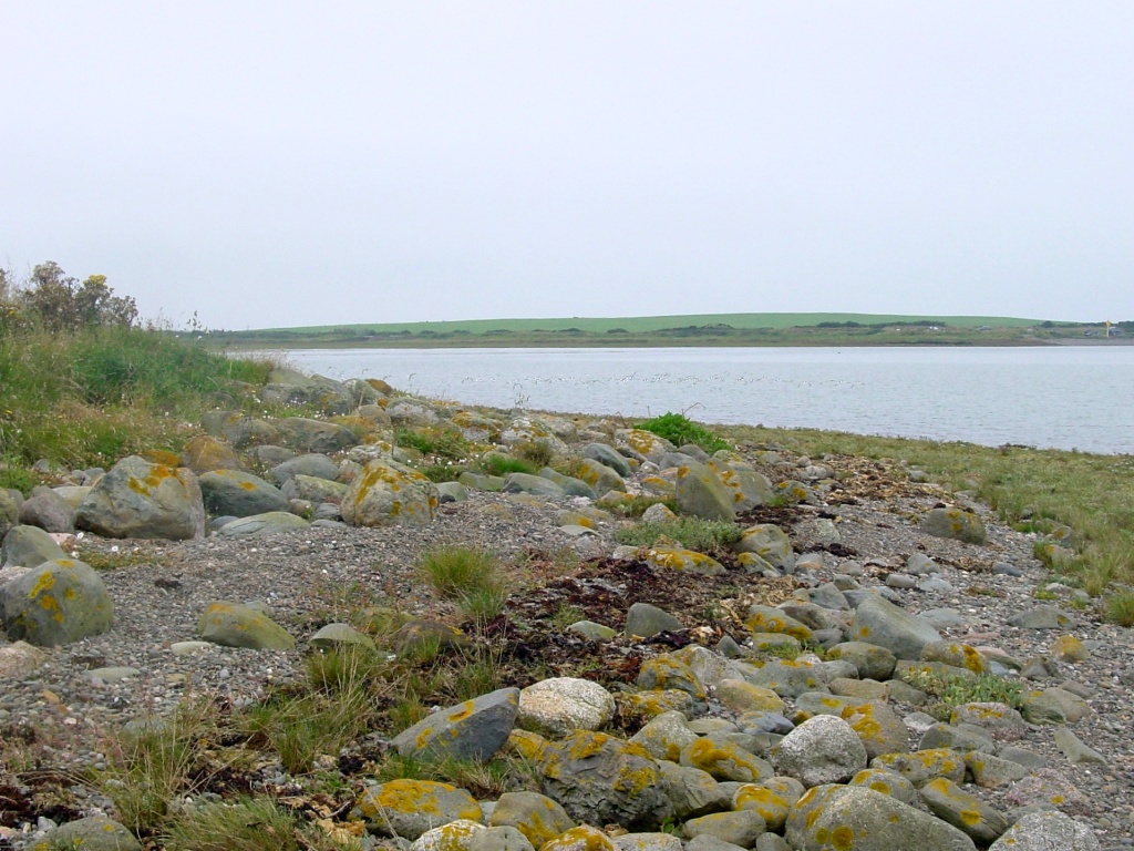 Click now to see this image full size.