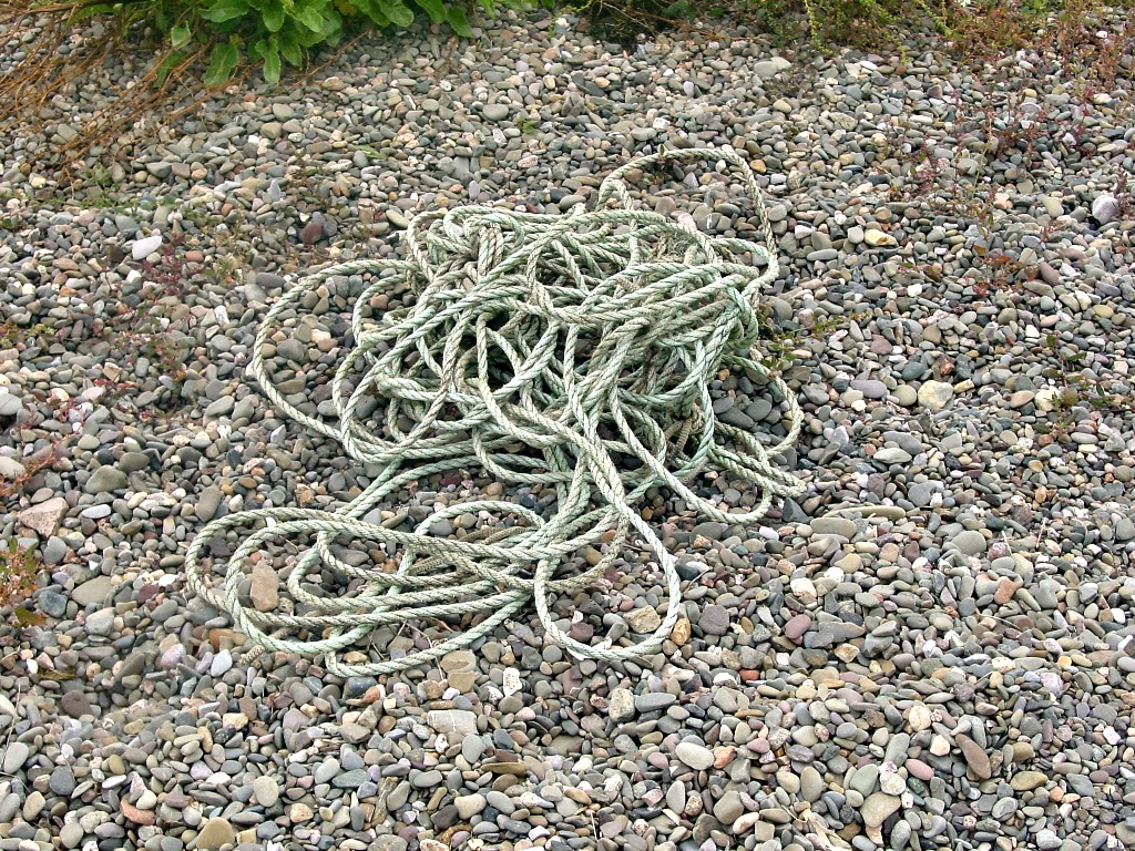 Click now to see this image full size.