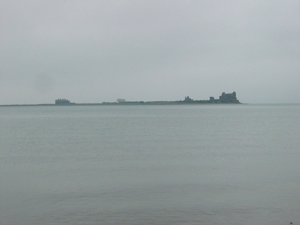 Click now to see this image full size.