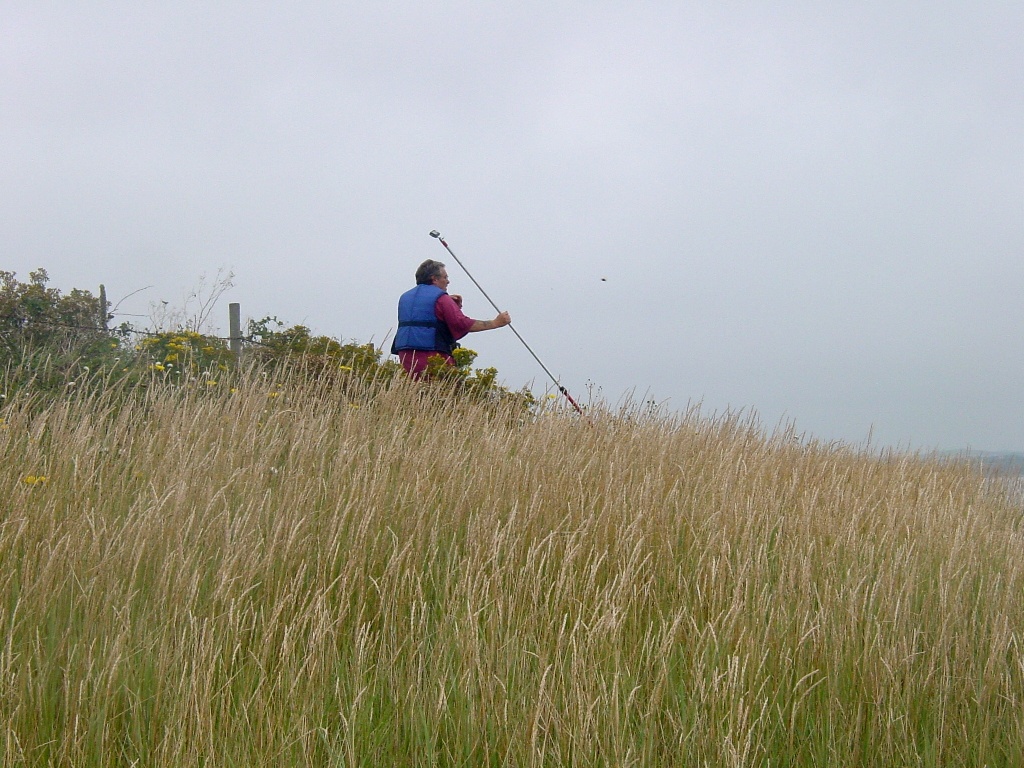 Click now to see this image full size.