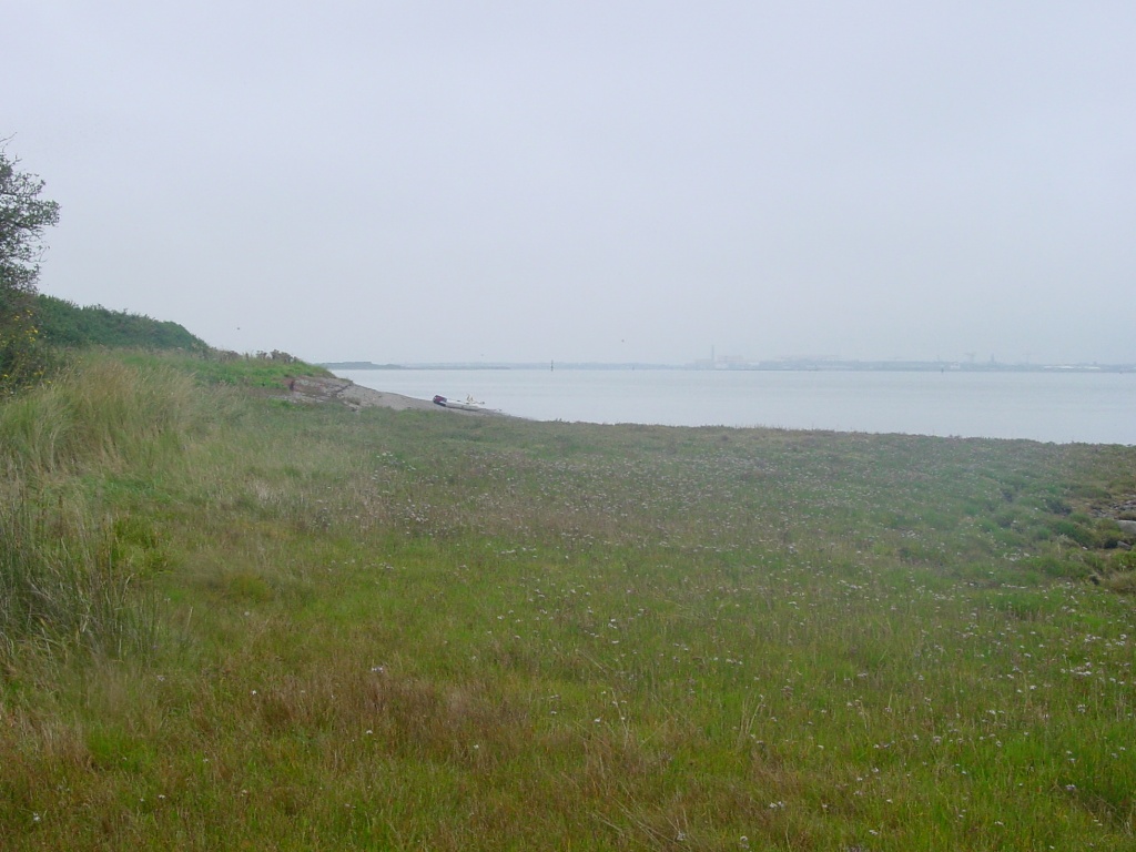 Click now to see this image full size.