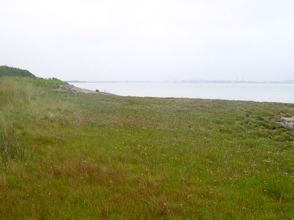 Click now to see this image full size.