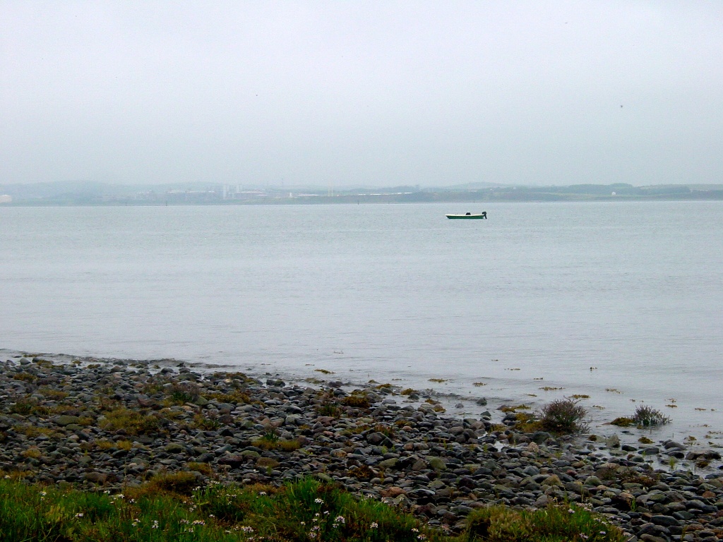 Click now to see this image full size.