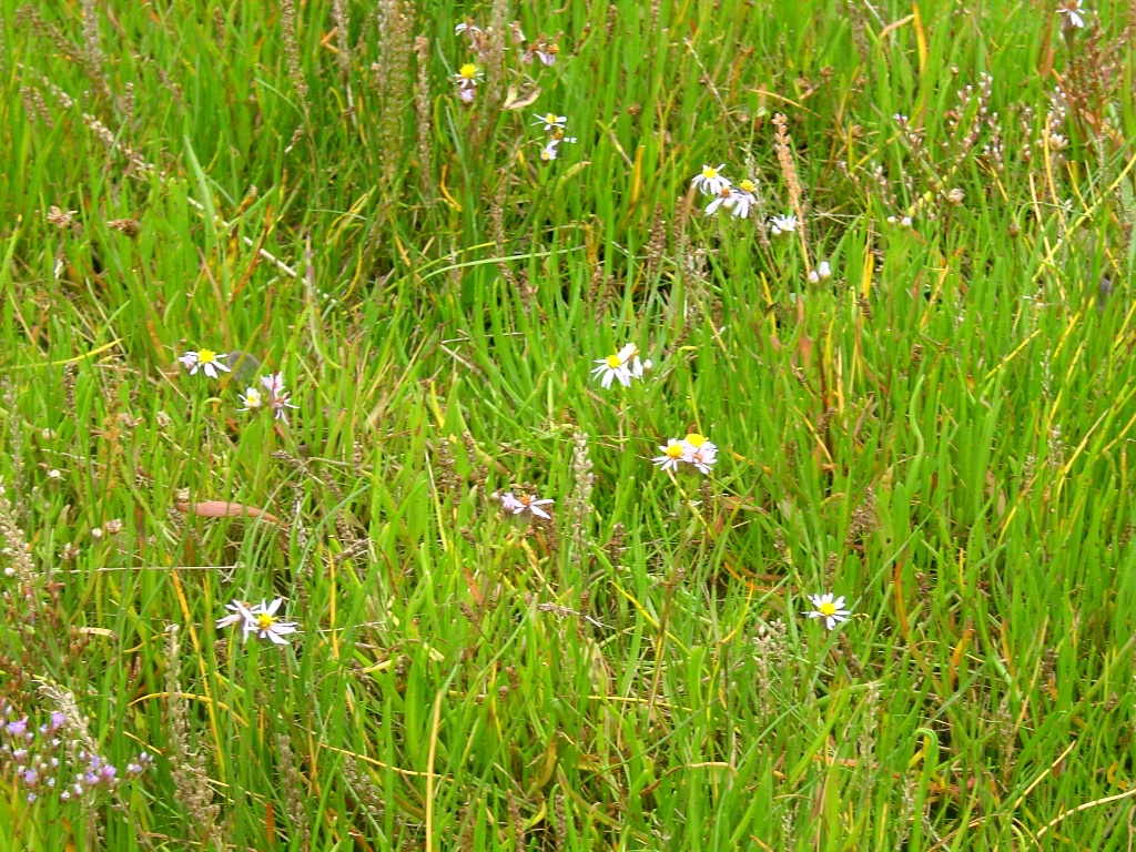 Click now to see this image full size.