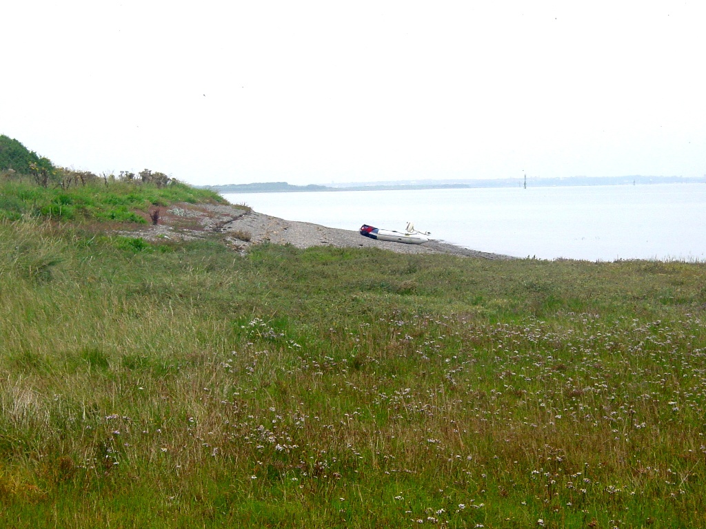 Click now to see this image full size.