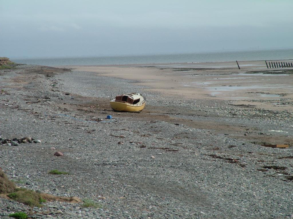 Click now to see this image full size.