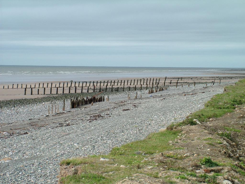 Click now to see this image full size.