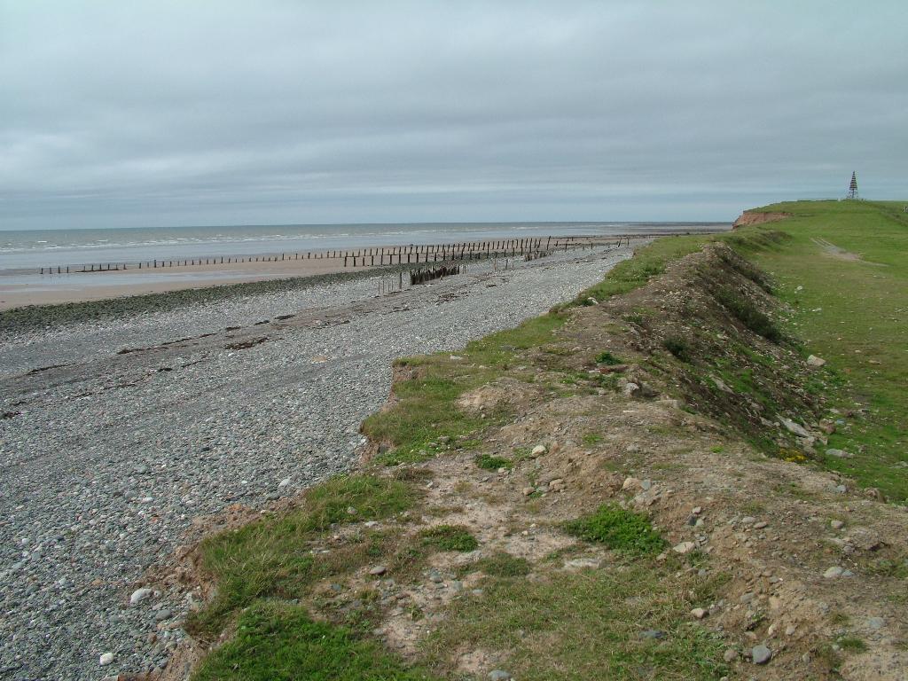 Click now to see this image full size.