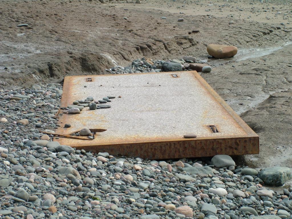 Click now to see this image full size.