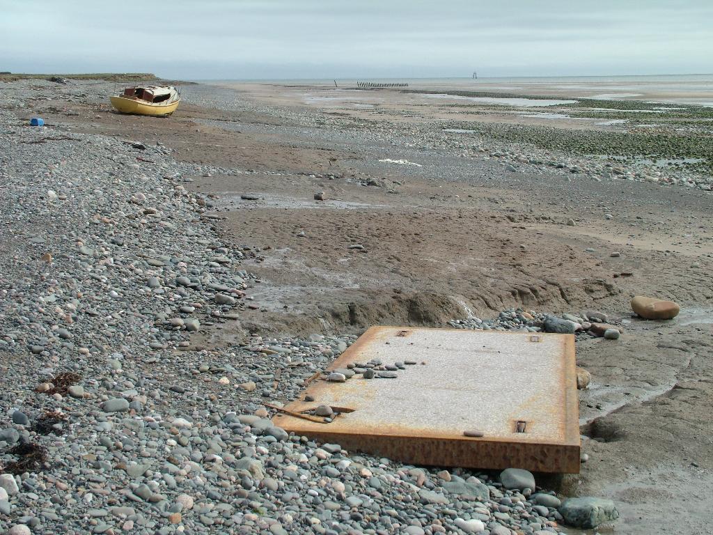 Click now to see this image full size.