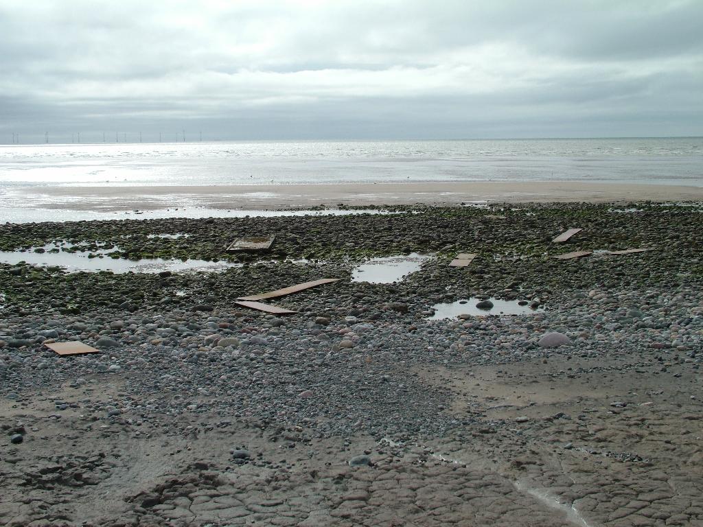 Click now to see this image full size.