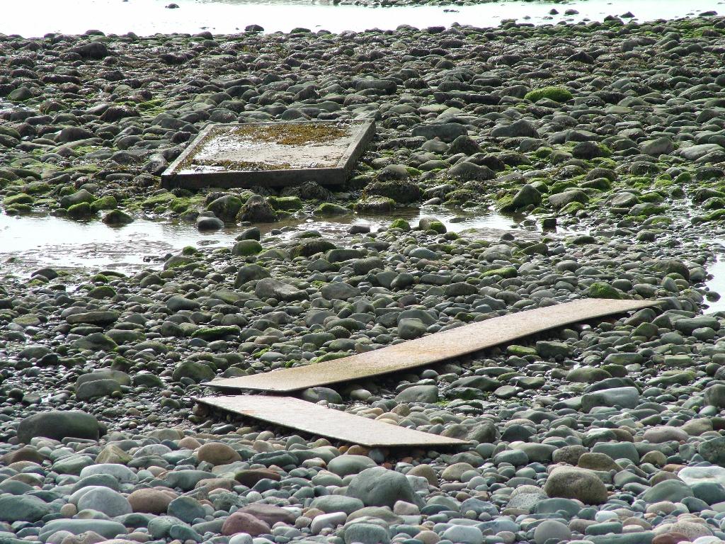 Click now to see this image full size.