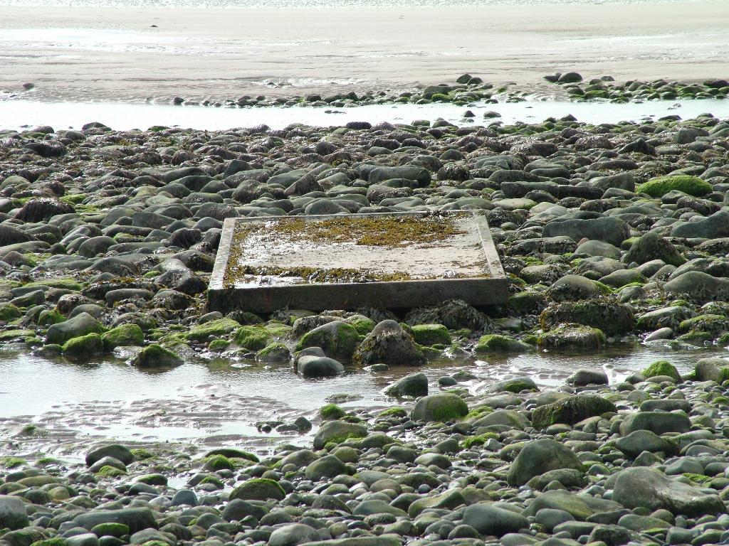 Click now to see this image full size.