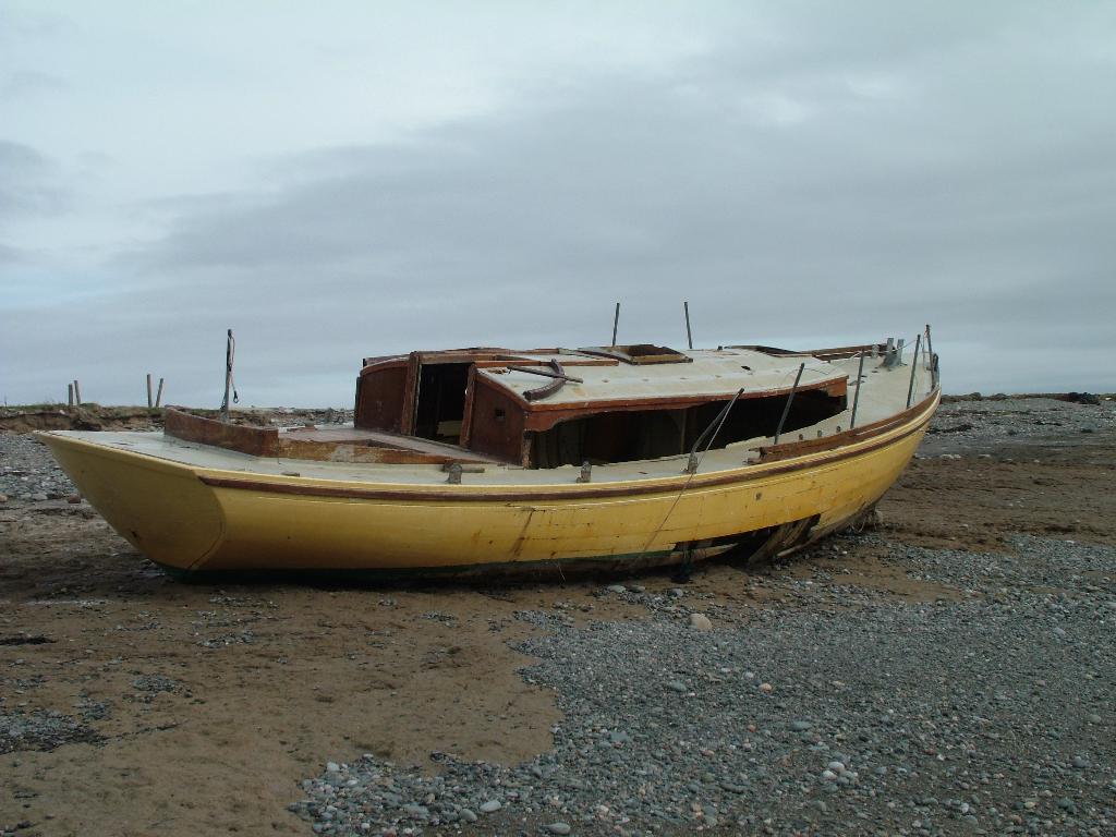 Click now to see this image full size.