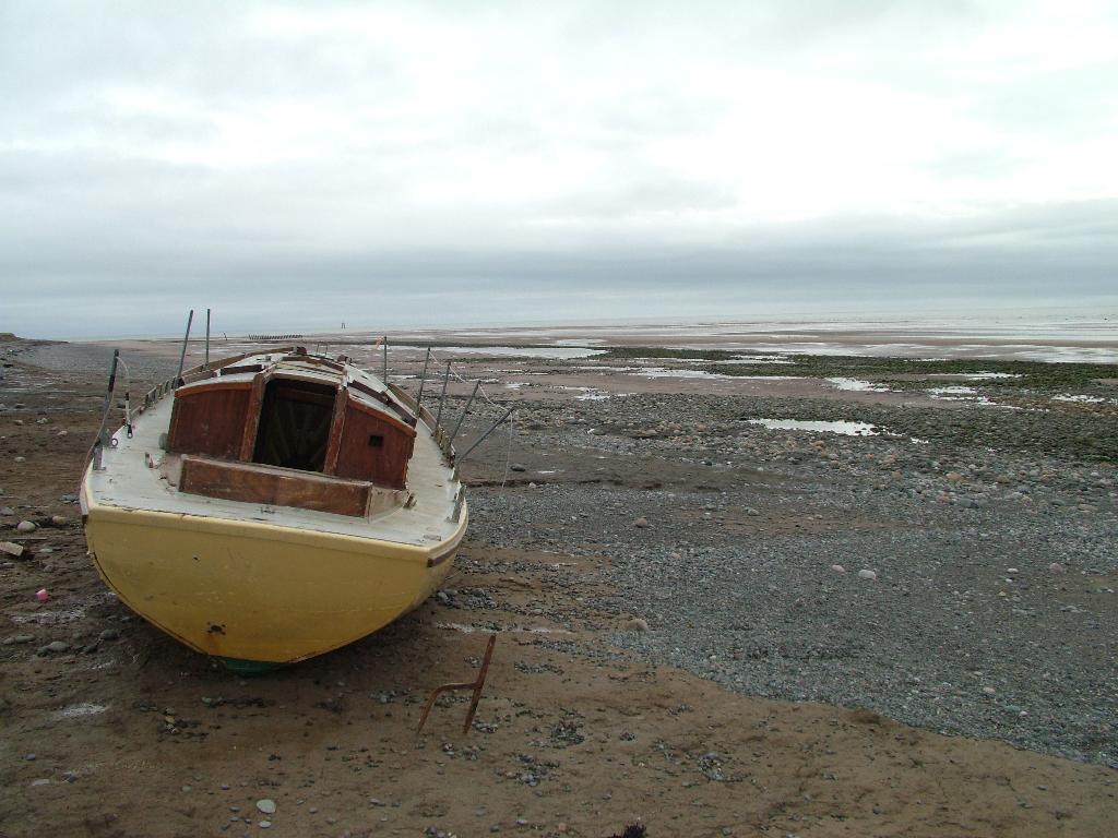 Click now to see this image full size.