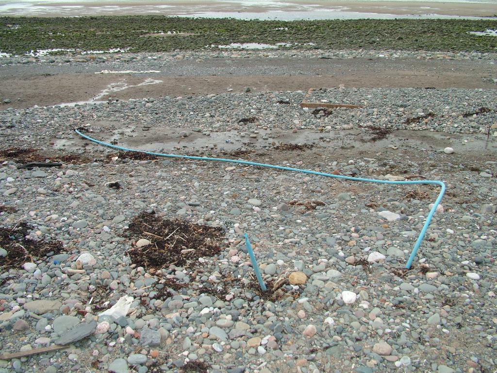 Click now to see this image full size.