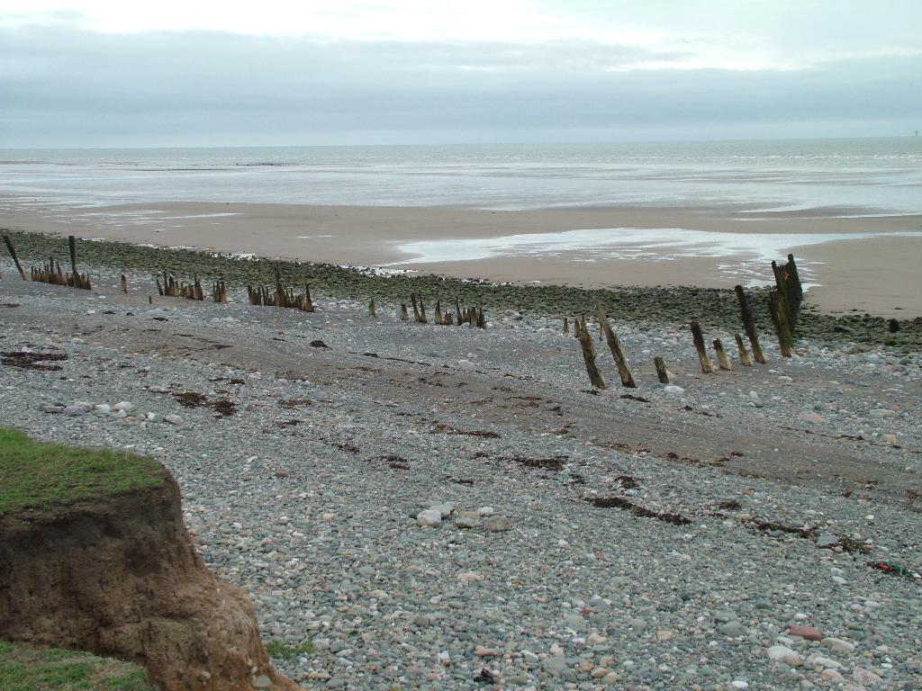 Click now to see this image full size.