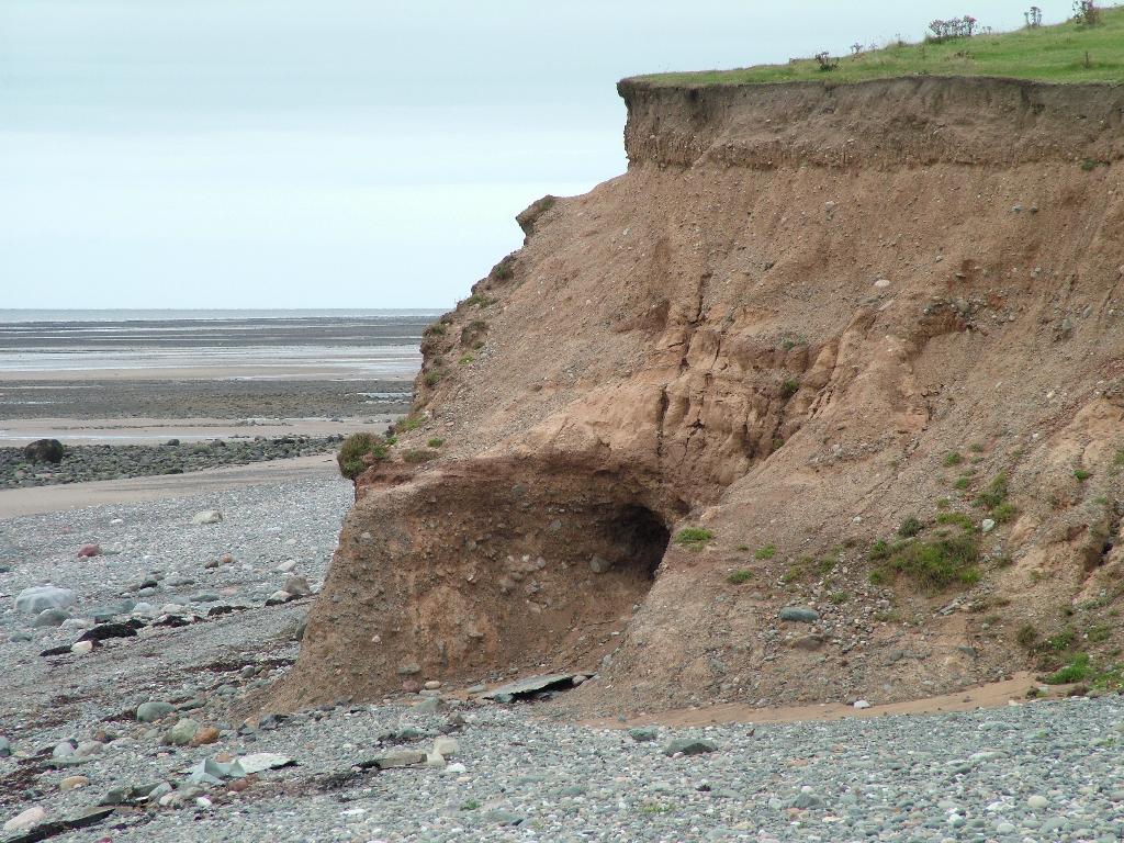 Click now to see this image full size.