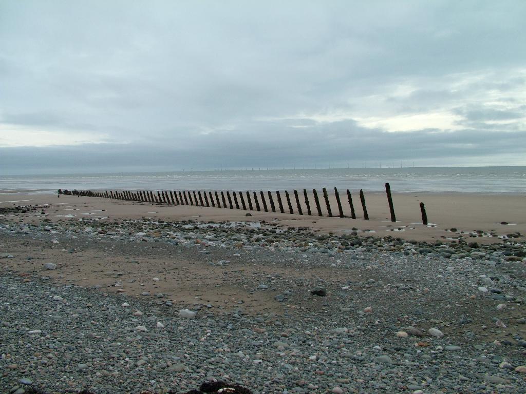 Click now to see this image full size.