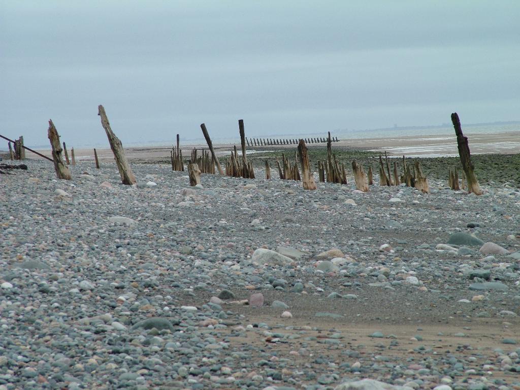 Click now to see this image full size.