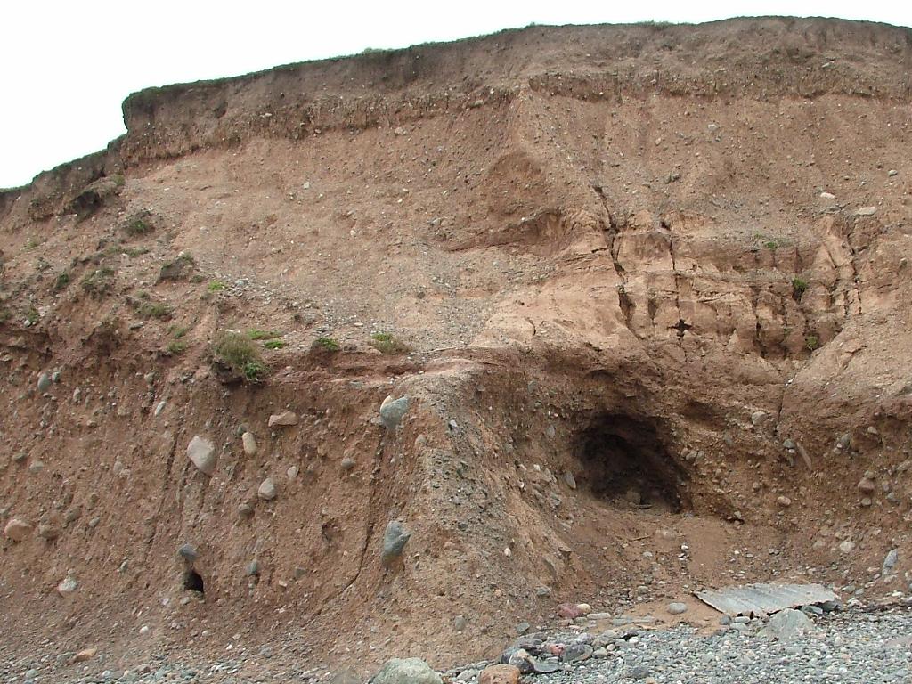 Click now to see this image full size.