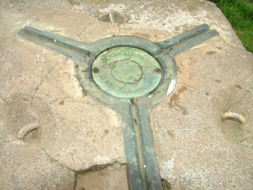 Click now to see this image full size.