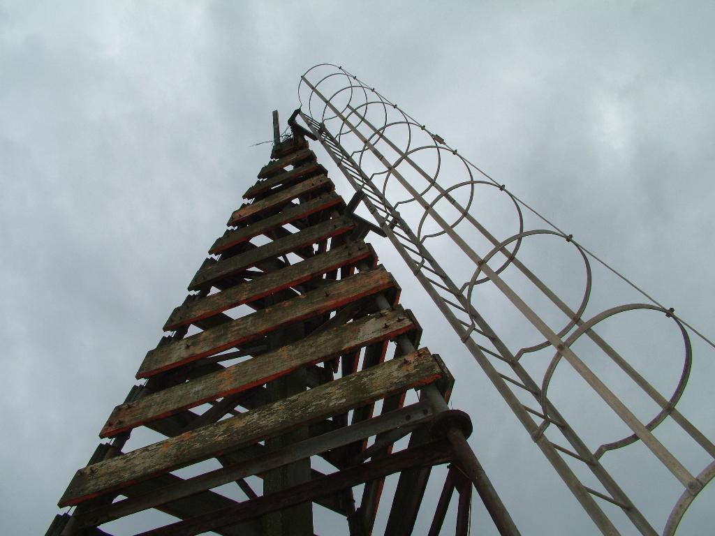 Click now to see this image full size.