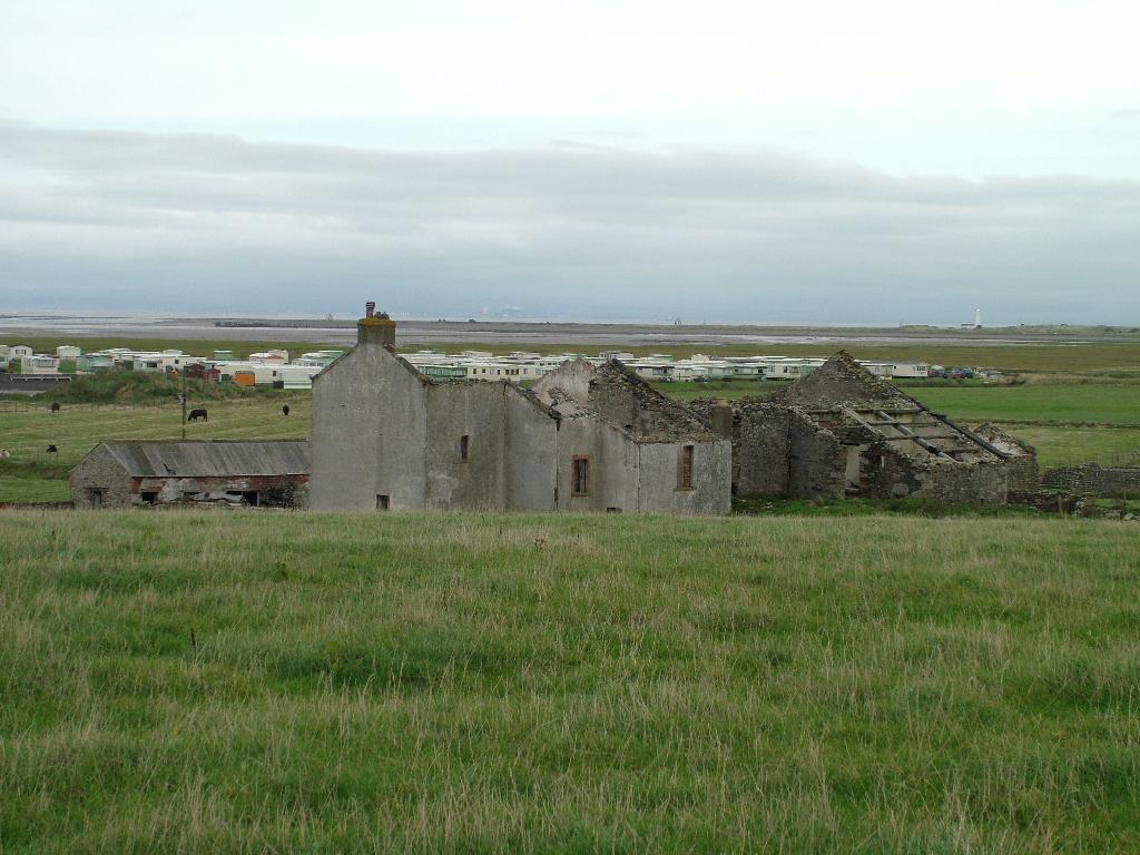 Click now to see this image full size.